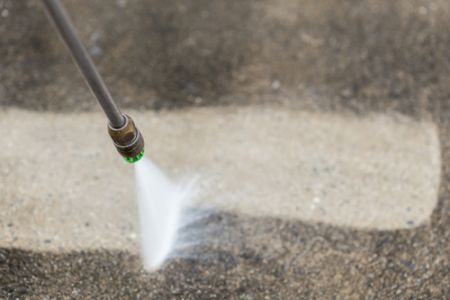 Bear pressure washing